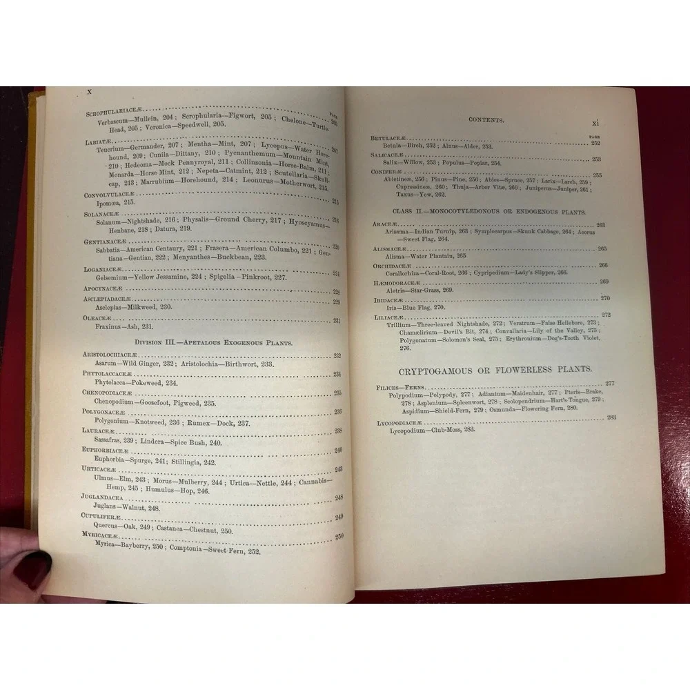 RARE A Manual of the Medical Botany of North America Laurence Johnson 1st E 1984